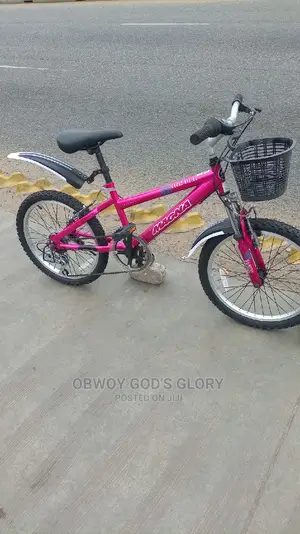 Mountain Bike 4 Kids