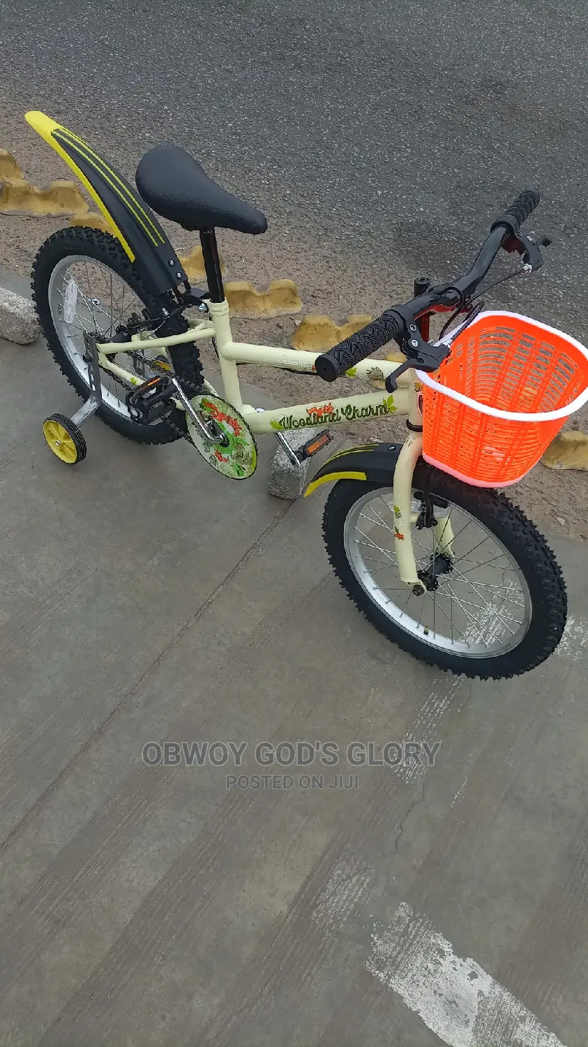 Lovely Mountain Kids Bike