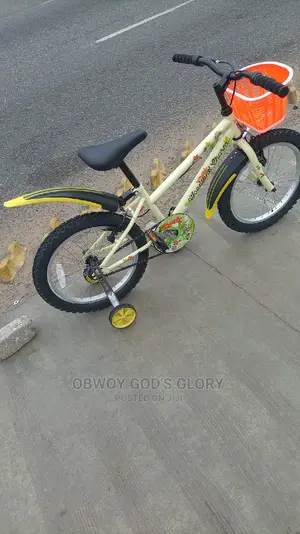 Lovely Mountain Kids Bike