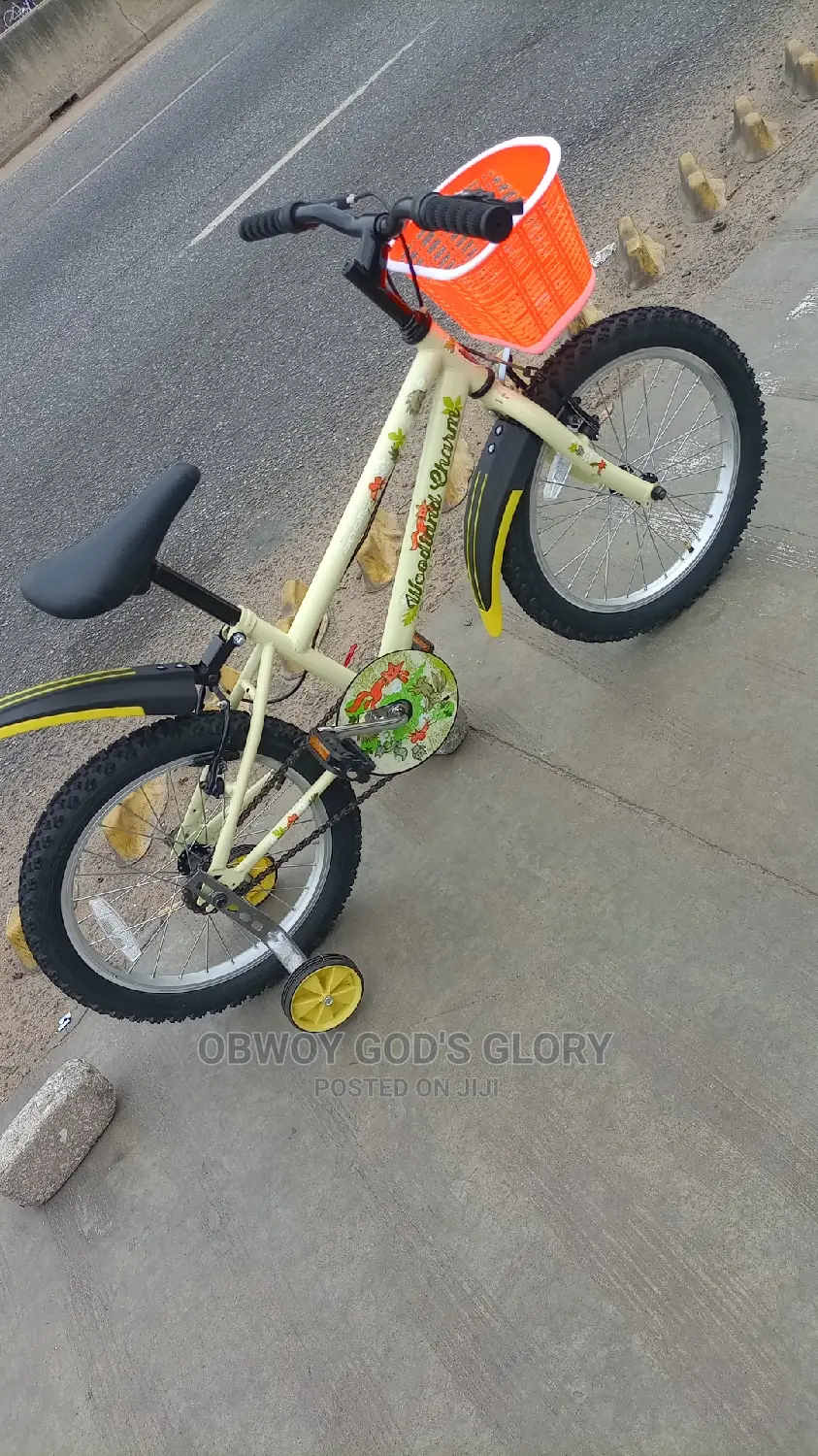 Lovely Mountain Kids Bike