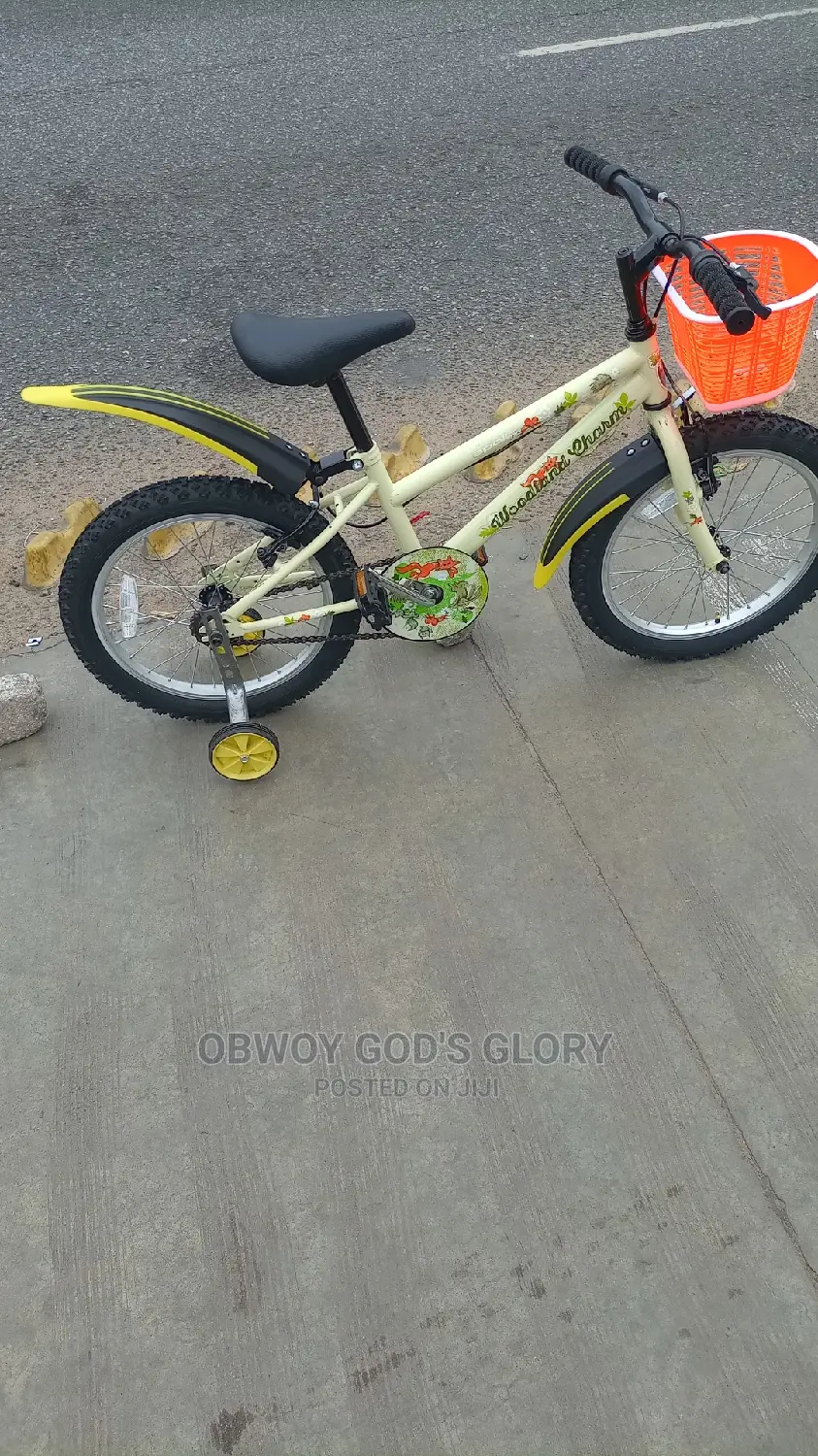 Lovely Mountain Kids Bike