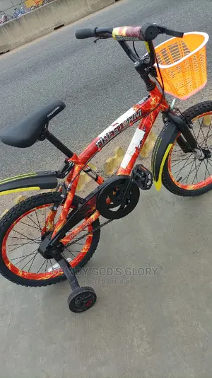 Gaint Kids Bike