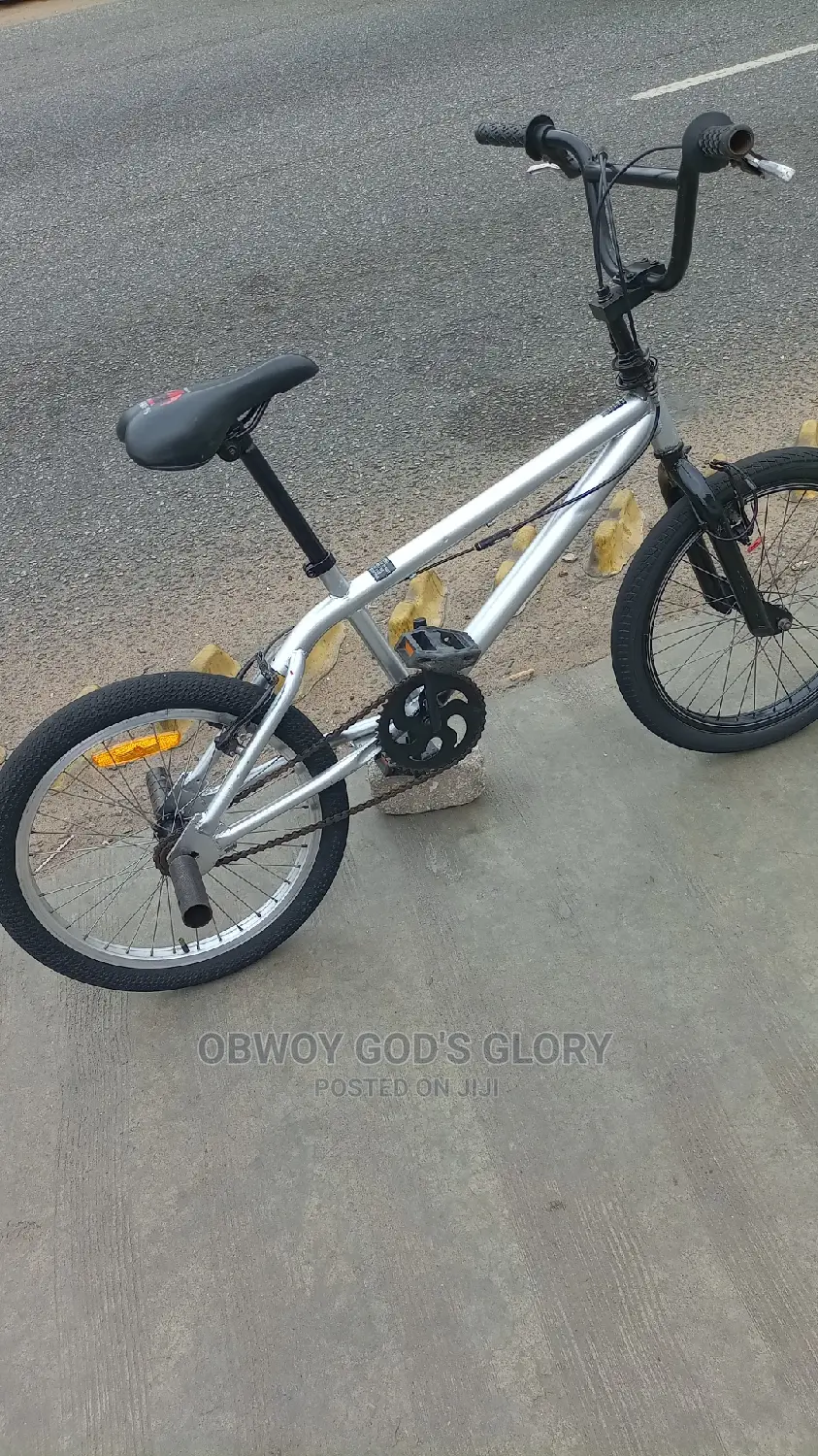 Ash BMX Bike