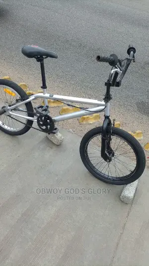 Ash BMX Bike