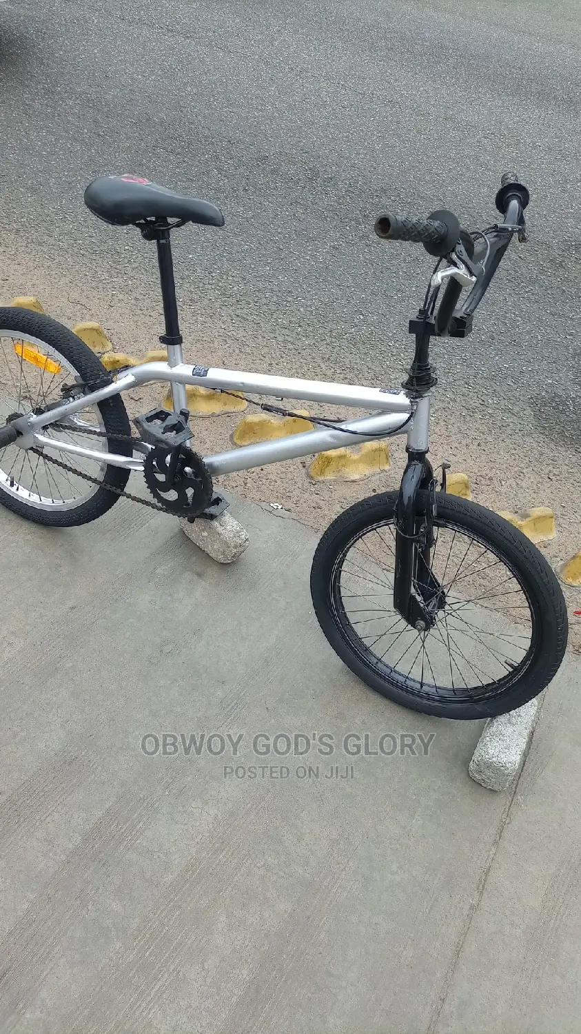 Ash BMX Bike