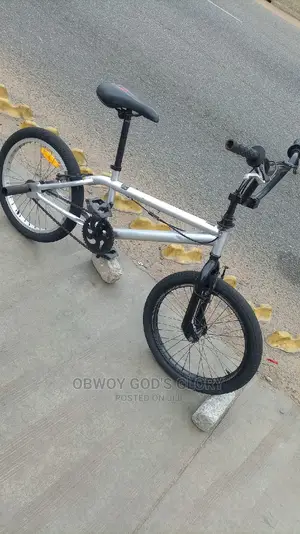Ash BMX Bike