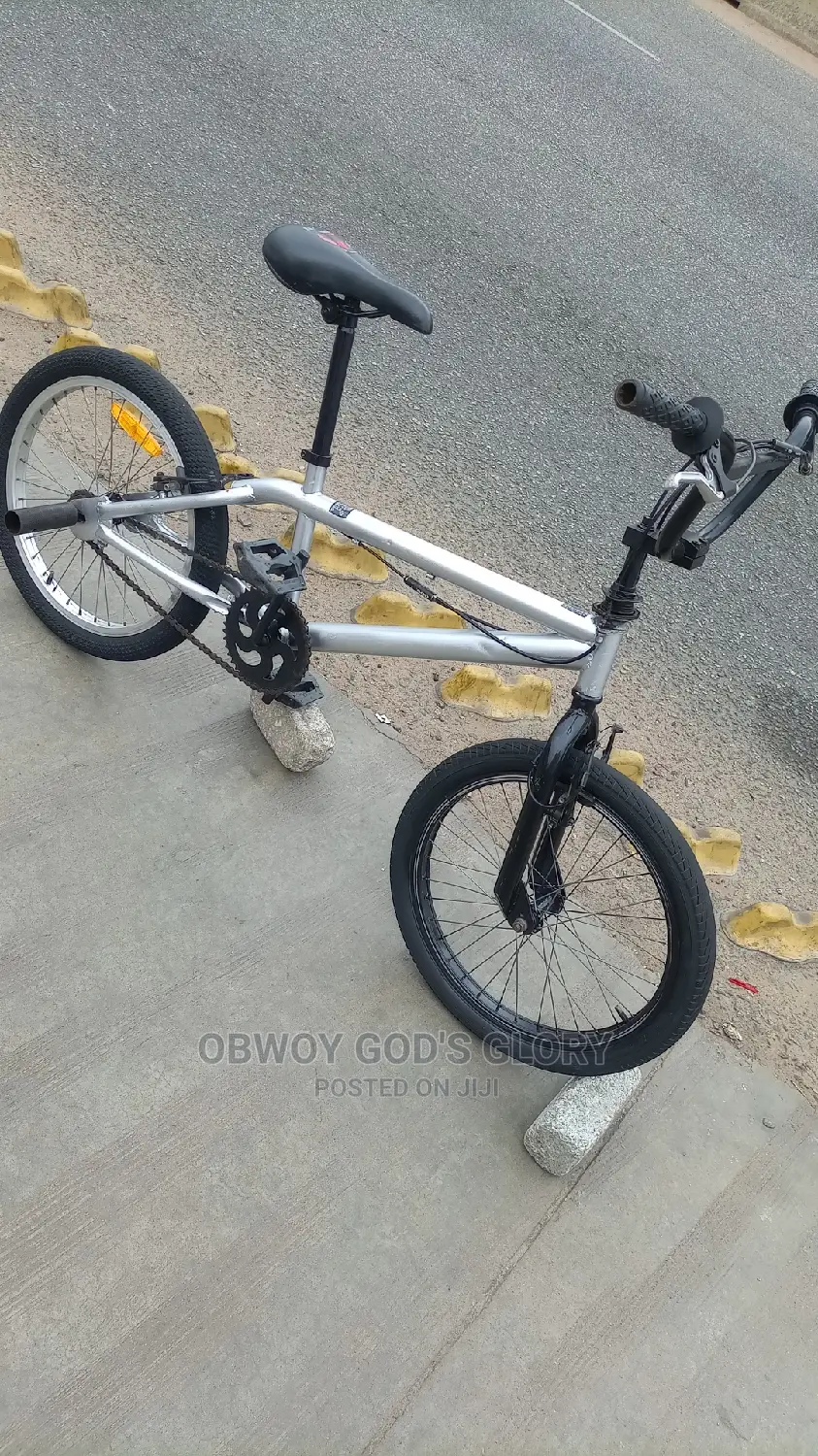 Ash BMX Bike