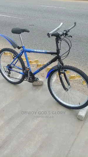 Sporty Mountain Biking