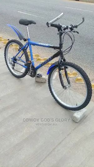 Sporty Mountain Biking