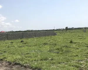 Luxurious Lands Within a Residential Area