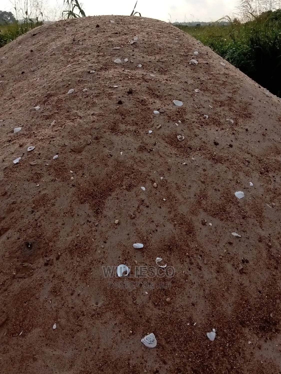 River Sand Supply