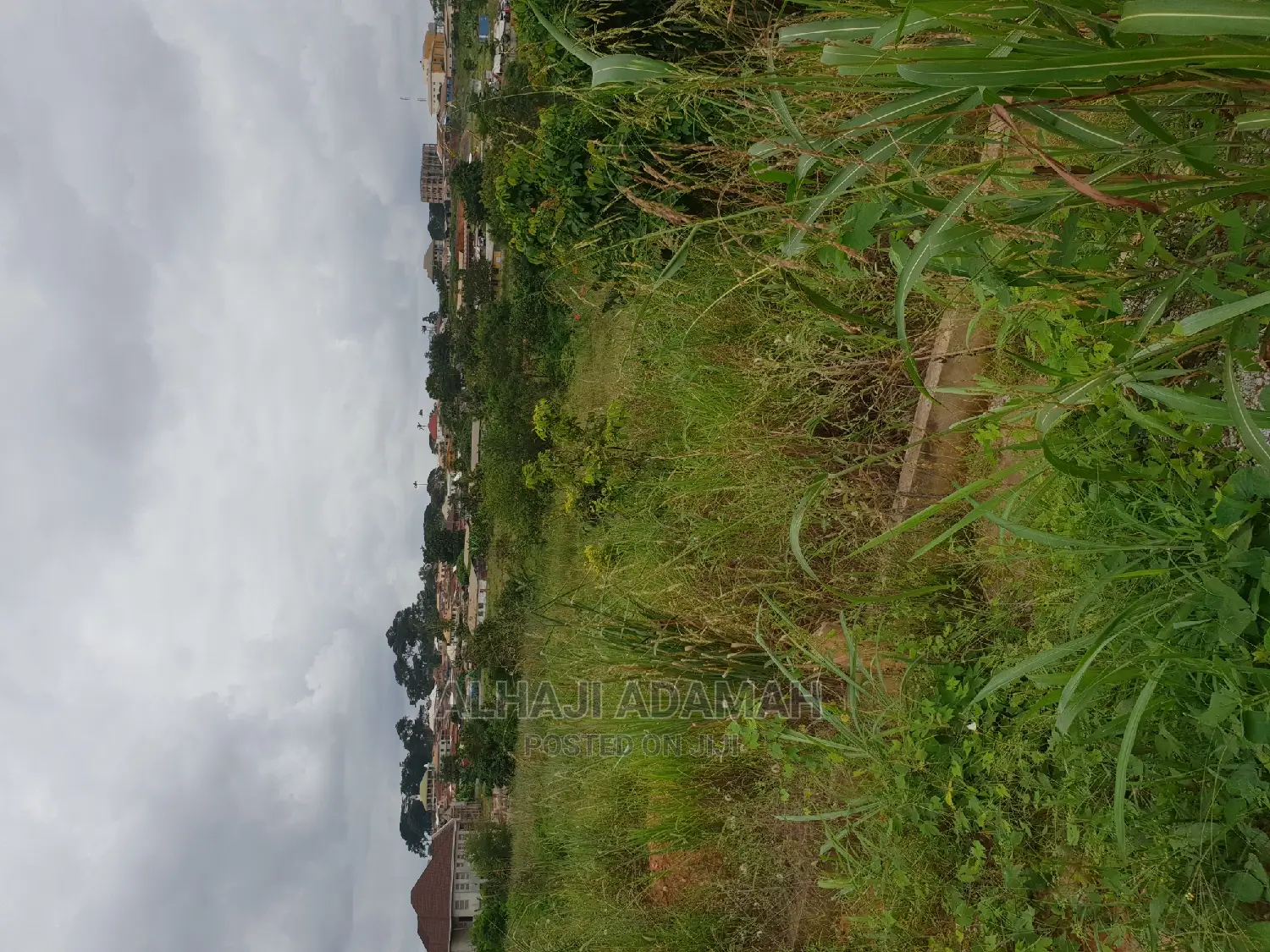 Plots for Sale at Agric Hill Top