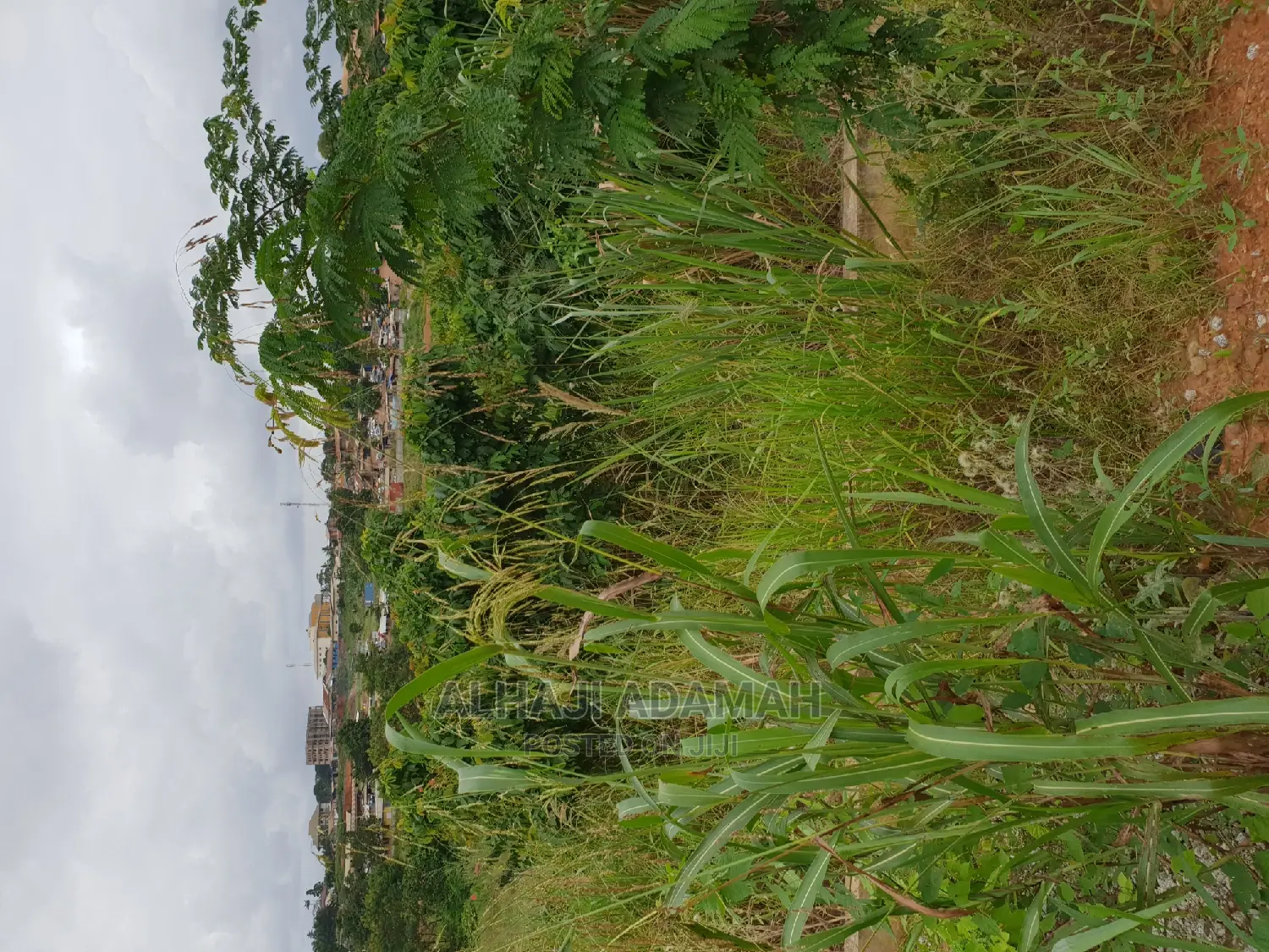 Plots for Sale at Agric Hill Top