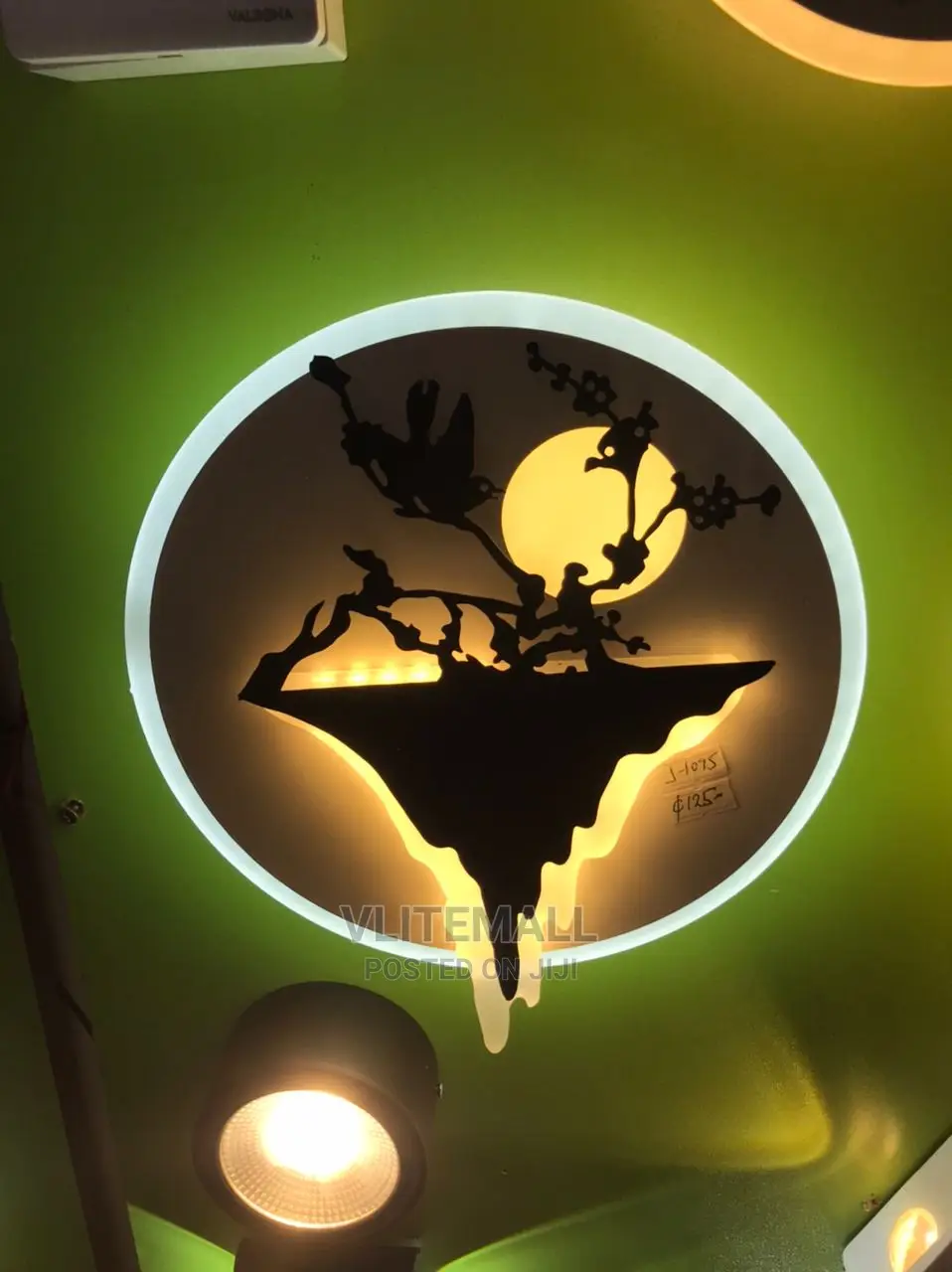 Indoor Wall / Ceiling Light