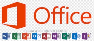 Microsoft Office Suit Training