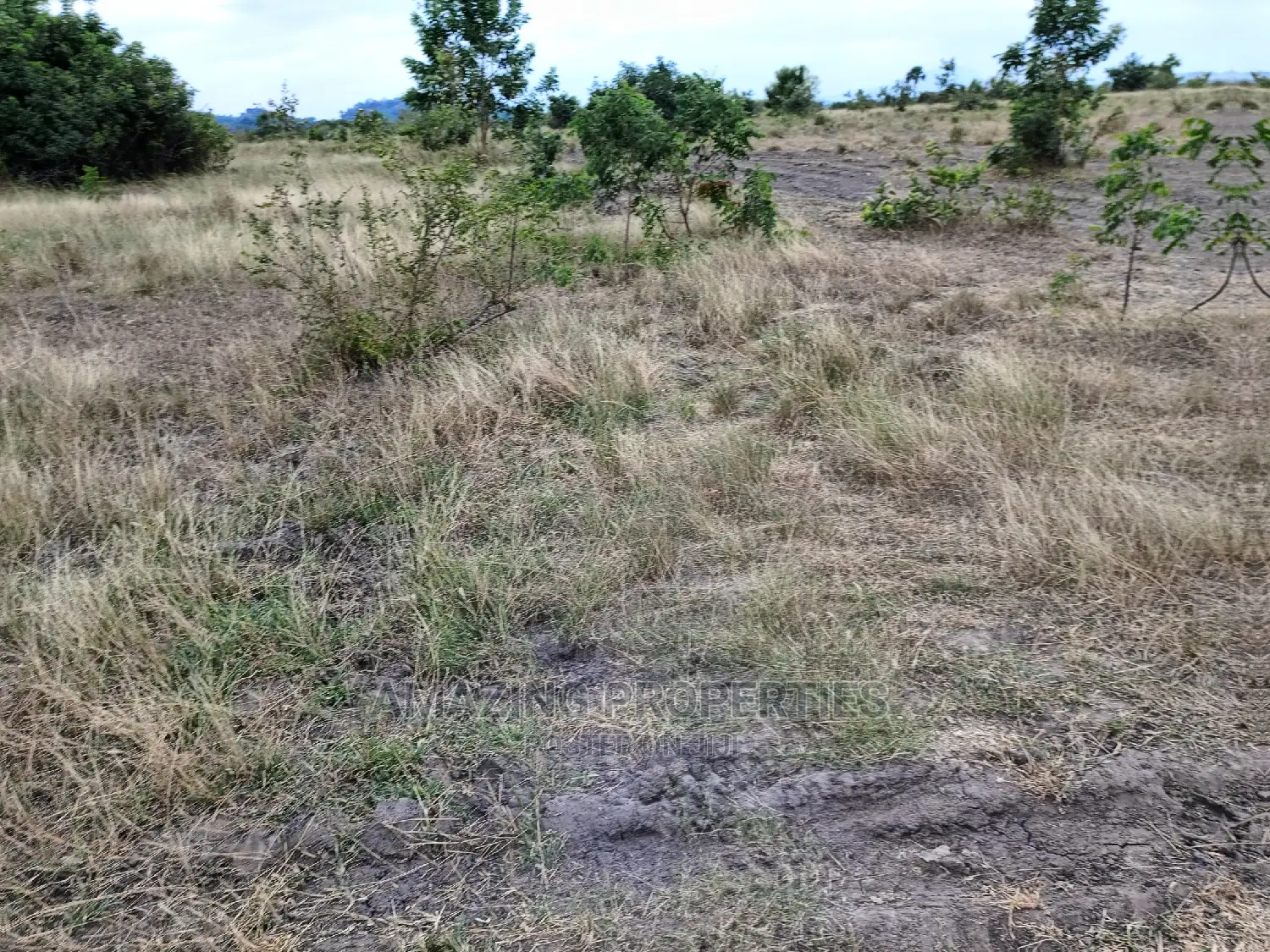 4 Plots of Land for Sale at Peduase Lodge