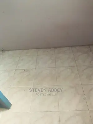 2bdrm Apartment in Adom Agency, Teshie for Rent