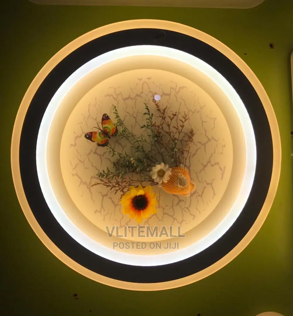 Zipstar Wall and Ceiling Light