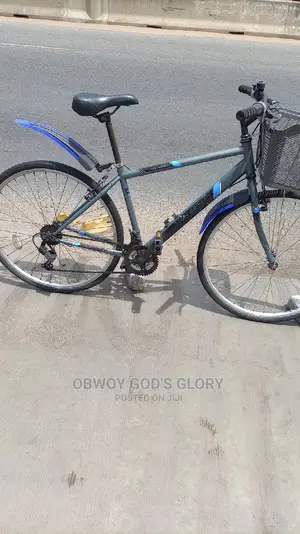 Gaint Basket Bike