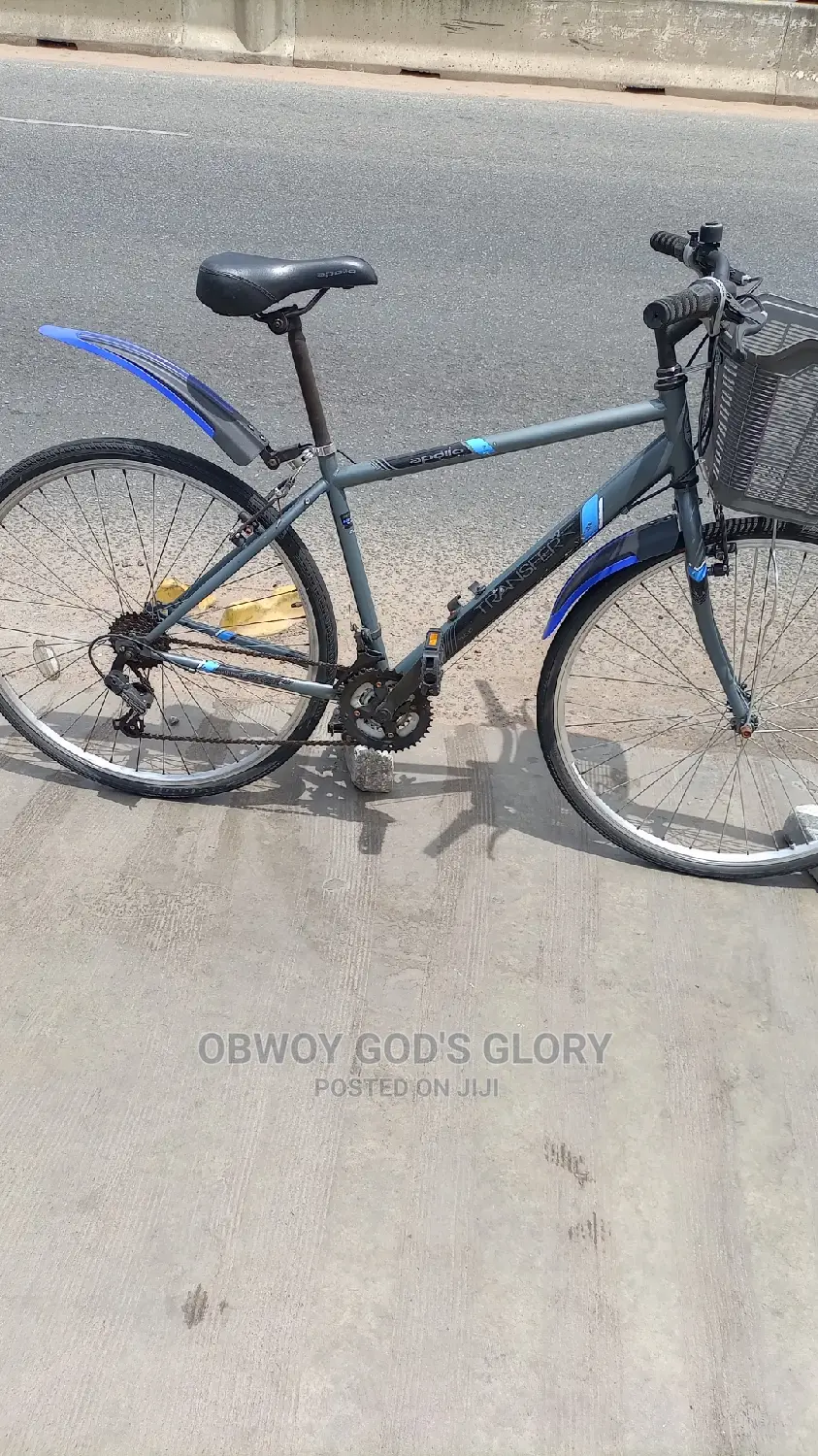 Gaint Basket Bike