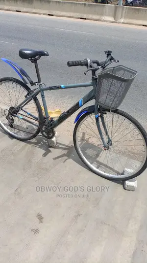 Gaint Basket Bike