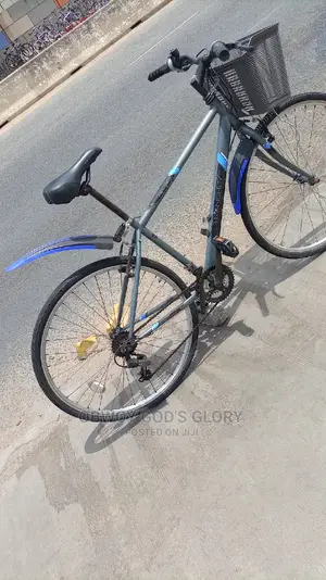 Gaint Basket Bike