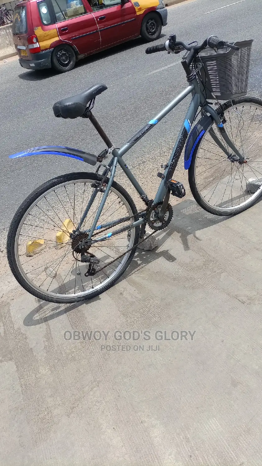 Gaint Basket Bike
