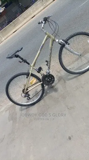 Lovely Sports Work Bike
