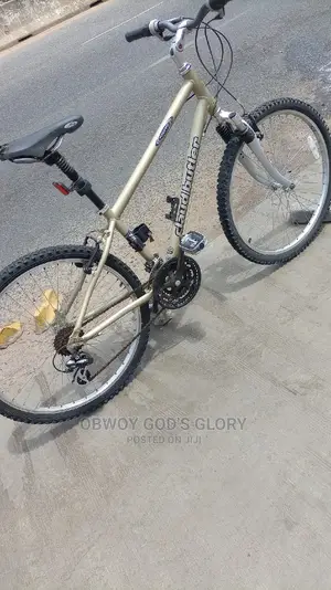 Lovely Sports Work Bike