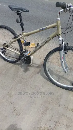 Lovely Sports Work Bike