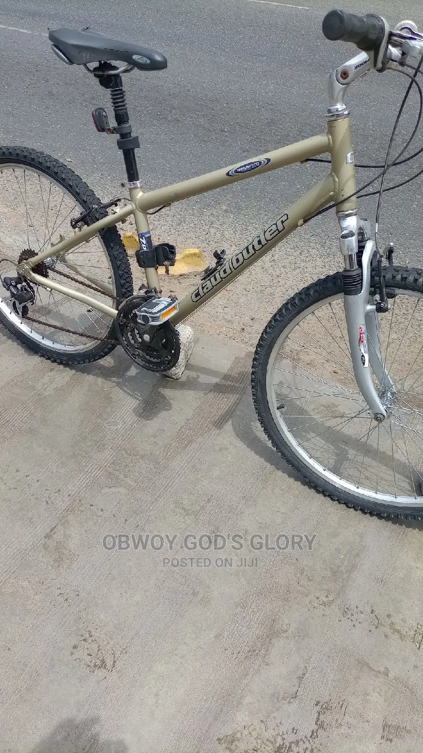 Lovely Sports Work Bike
