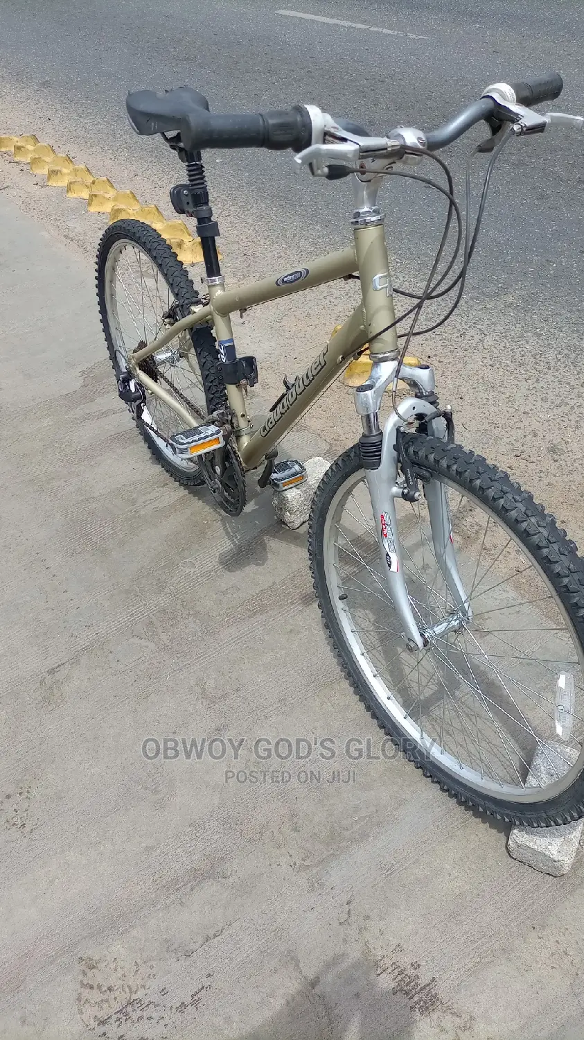 Lovely Sports Work Bike