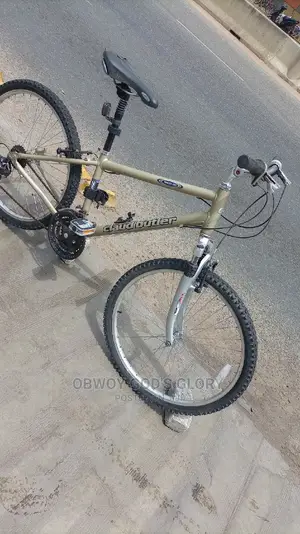 Lovely Sports Work Bike