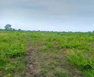 6 Plots of Land at Oyarifa