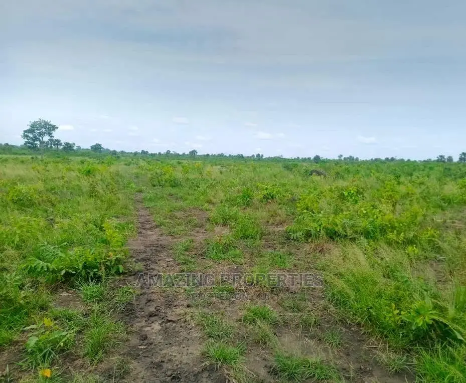6 Plots of Land at Oyarifa