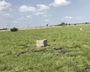 Land Near the Beach: Central University