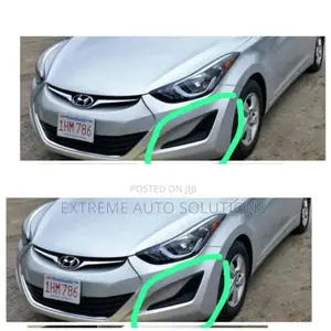 Hyundai Elantra 2016 Foglight Cover