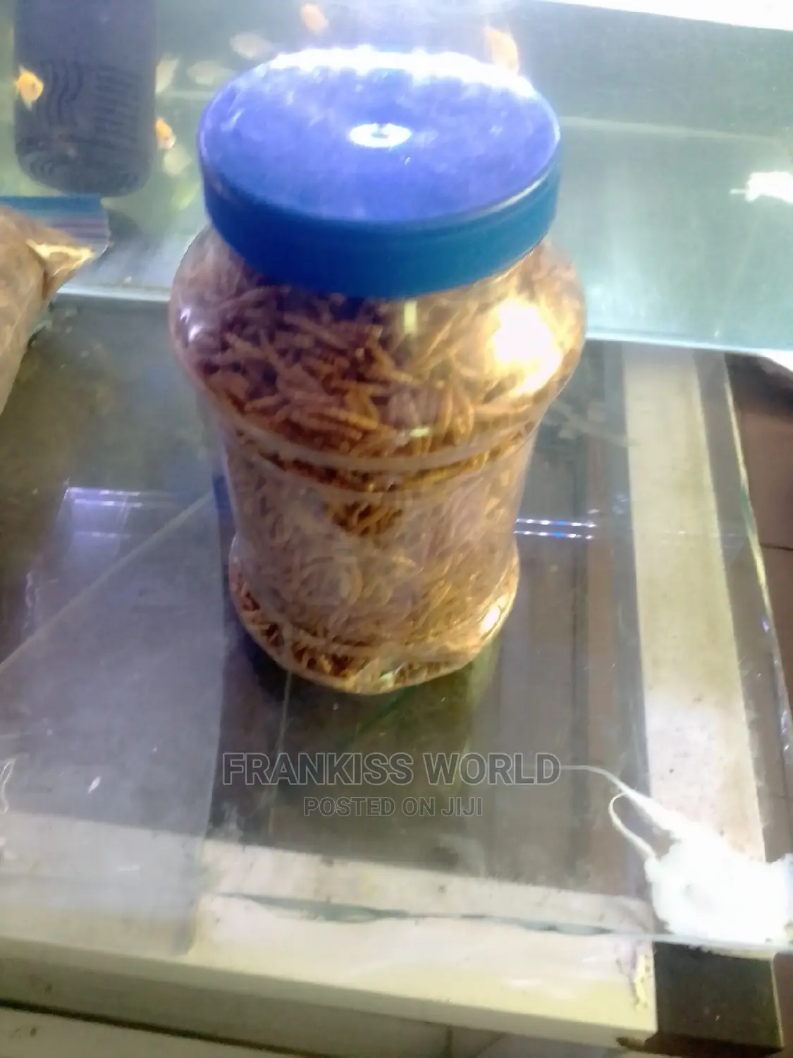 Worms Feed