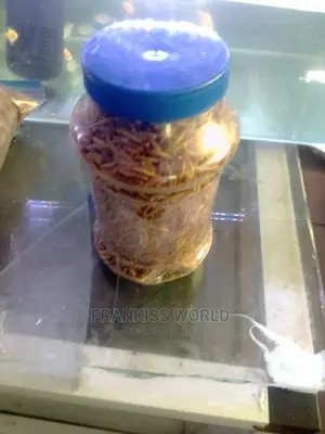 Worms Feed