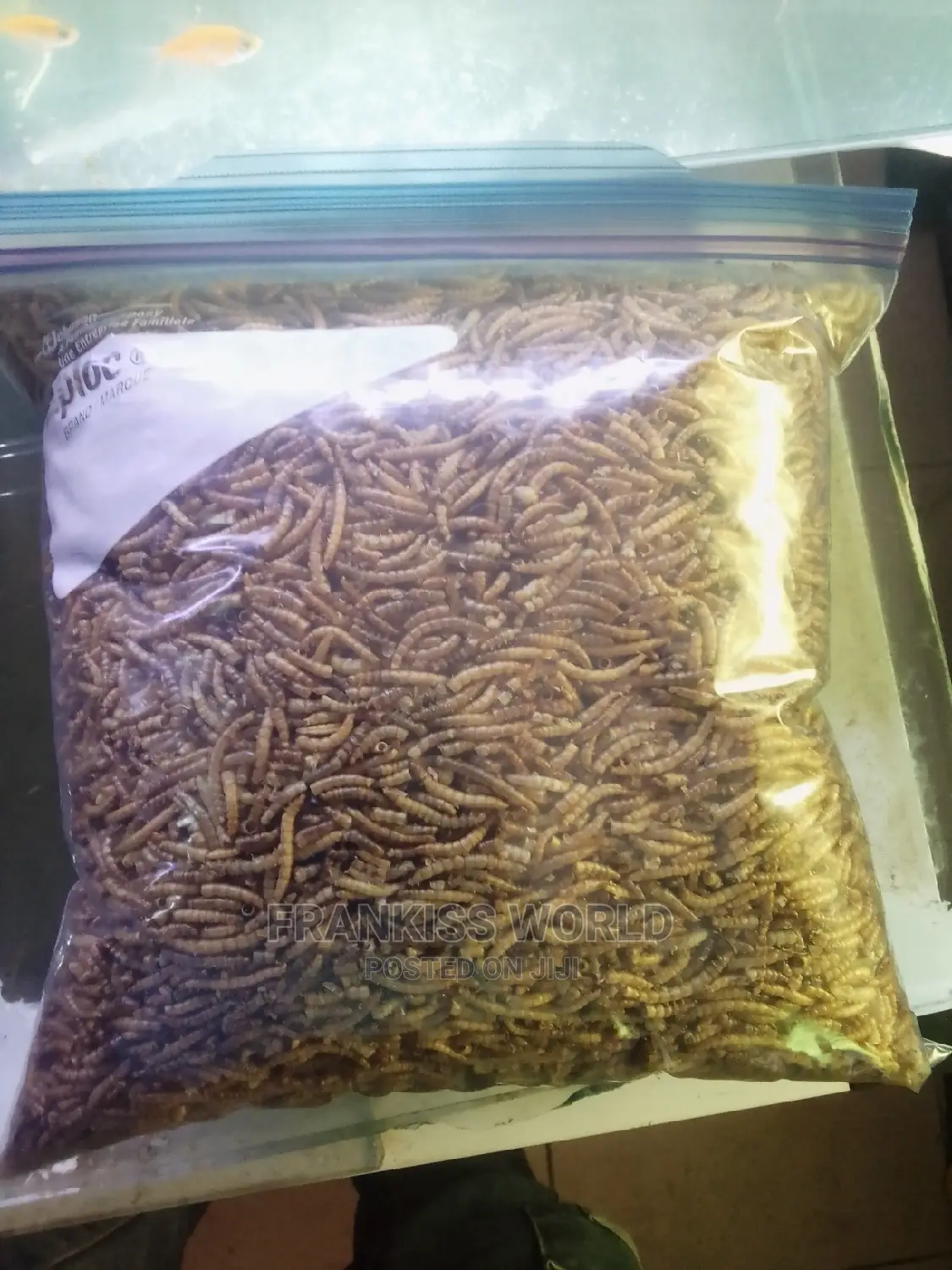 Worms Feed