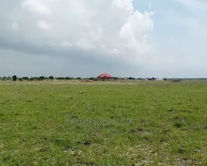 Eccentric and Genuine Lands for Sale