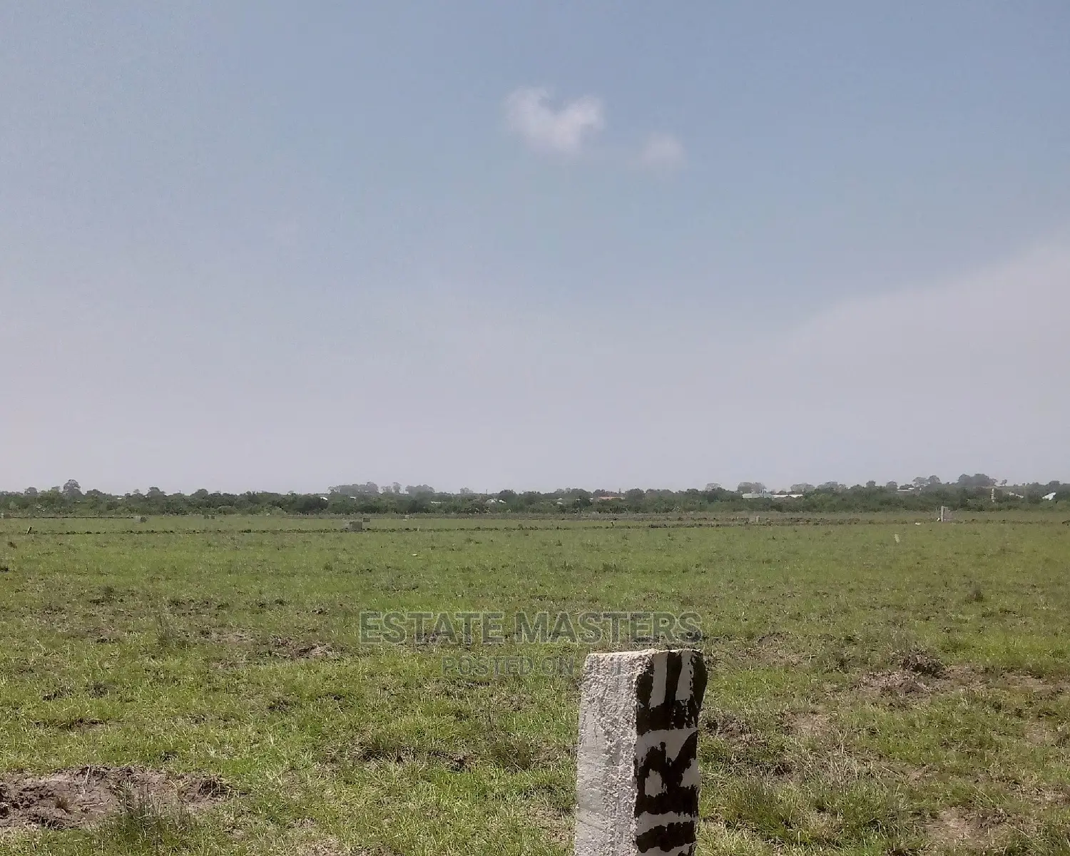 Eccentric and Genuine Lands for Sale