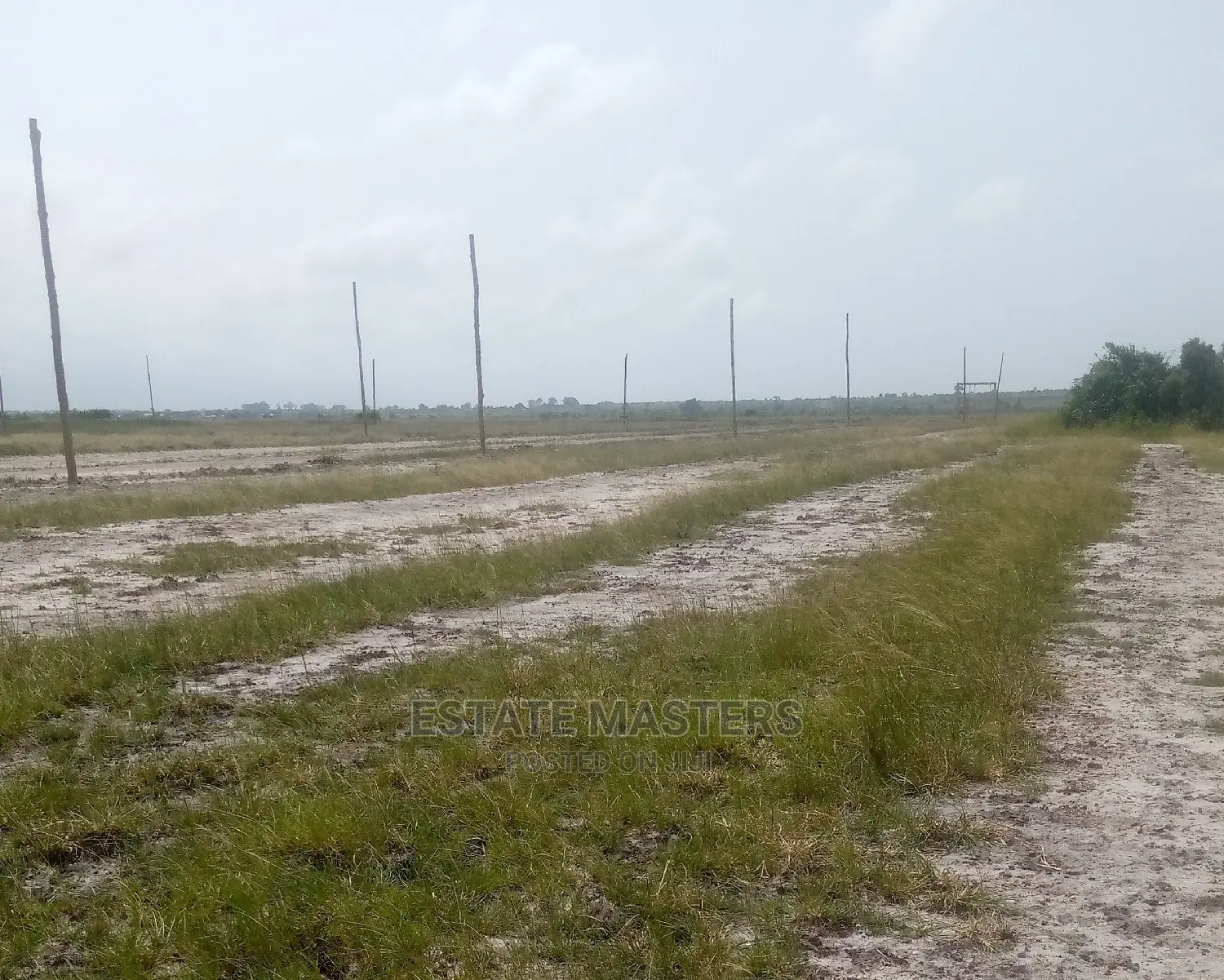 Affordable and Lucrative Lands