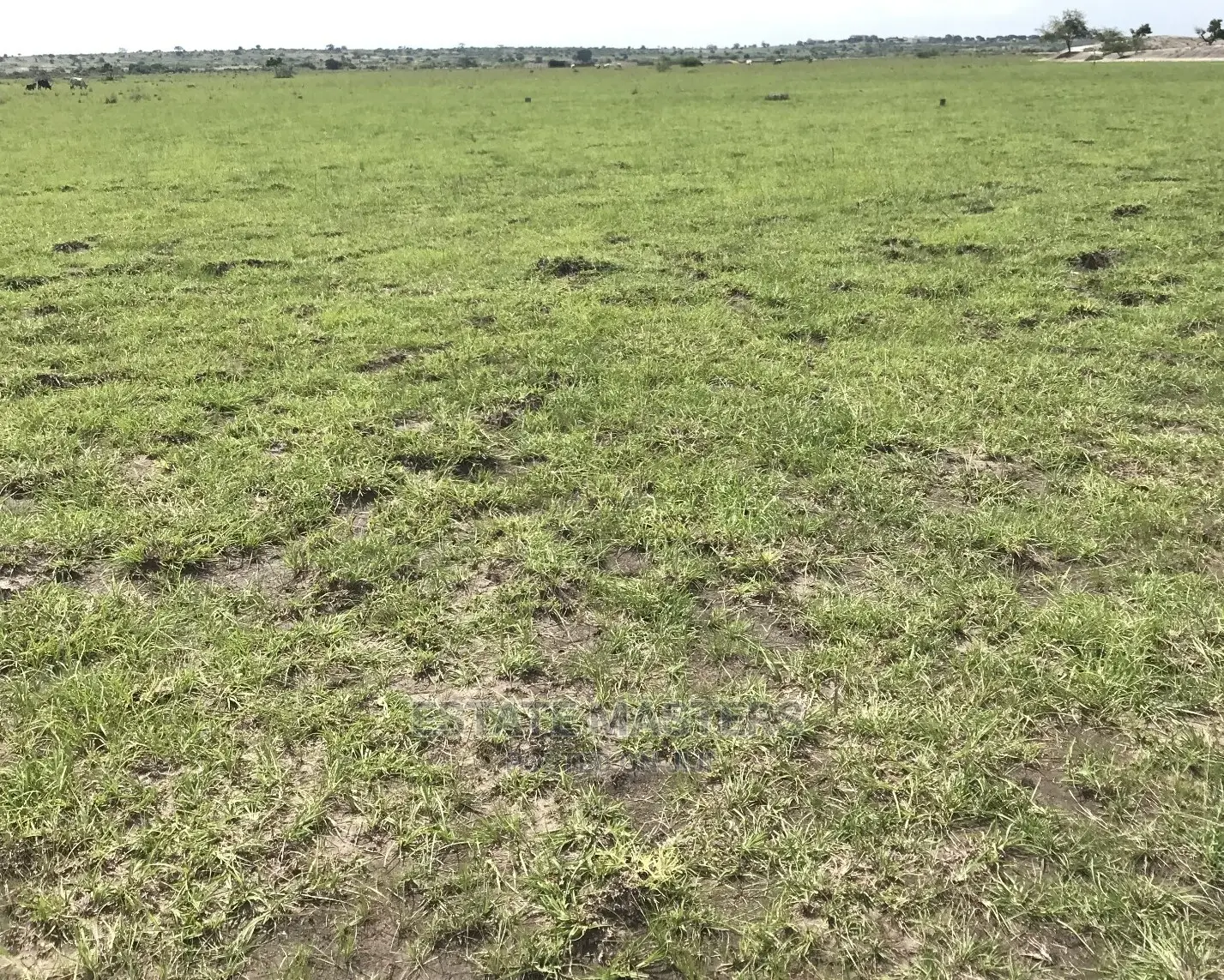 Masterly Planned Area Land