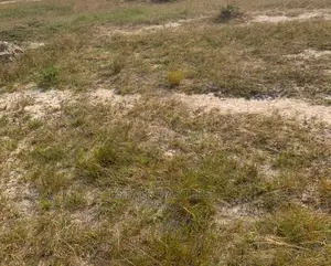 NEST COTTAGE Lands for Sale: Tsopoli