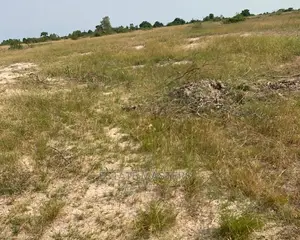Great Deals on Supurb Lands: Tsopoli