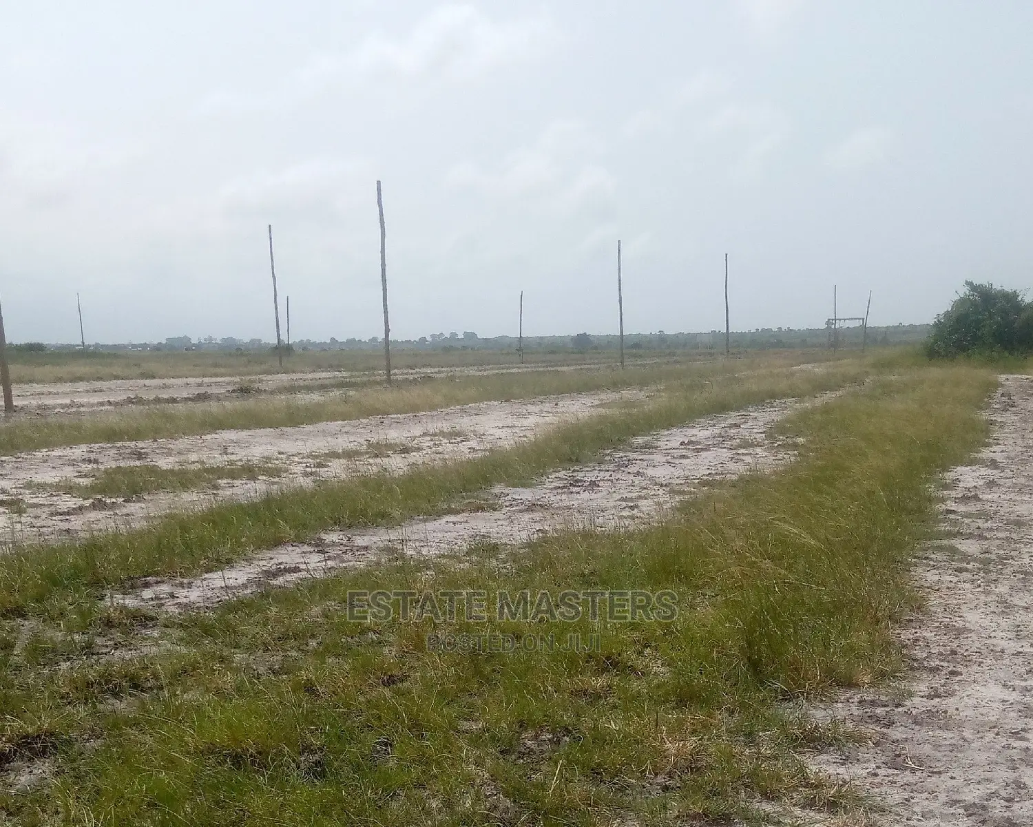 Spectacular Estate Lands for Sale: Central University