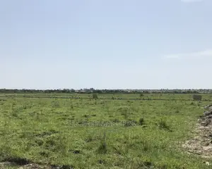 Unique and Perplexing Estate Lands for Sale.