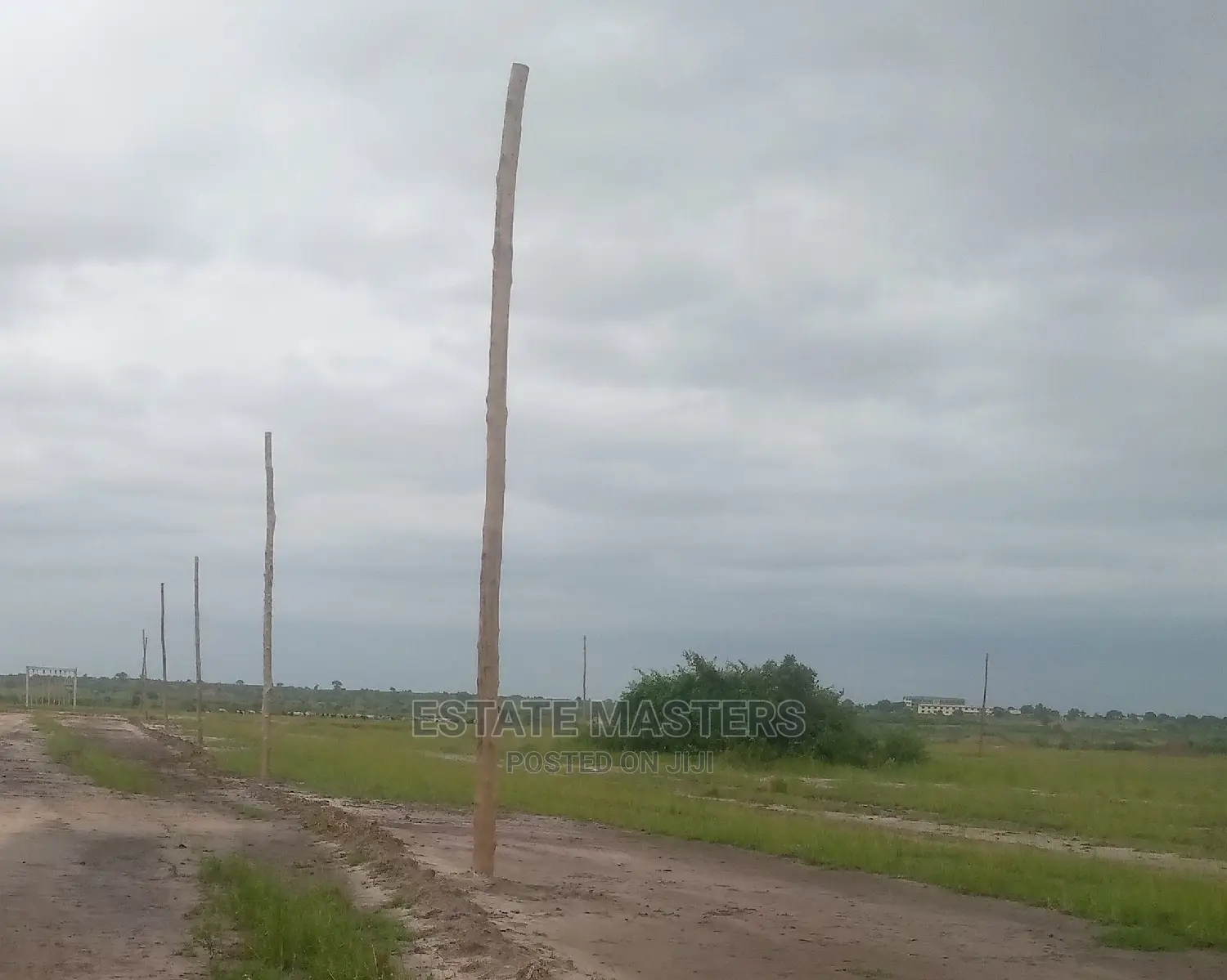 Litigation Free Lands Sale: Central University