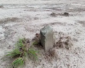 Dismayings Sales on Nest Cottage Lands.